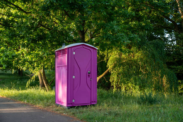 Best Local porta potty services  in Lake Sherwood, CA